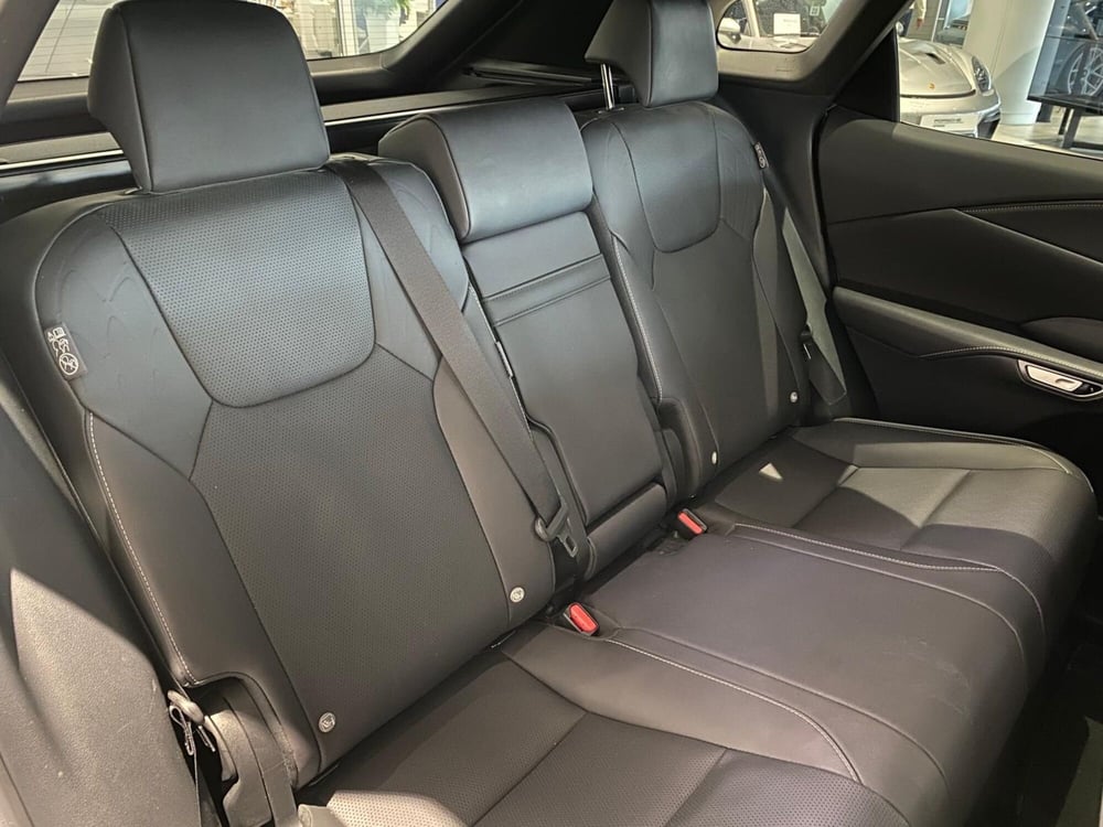 Lexus RX usata a Firenze (14)