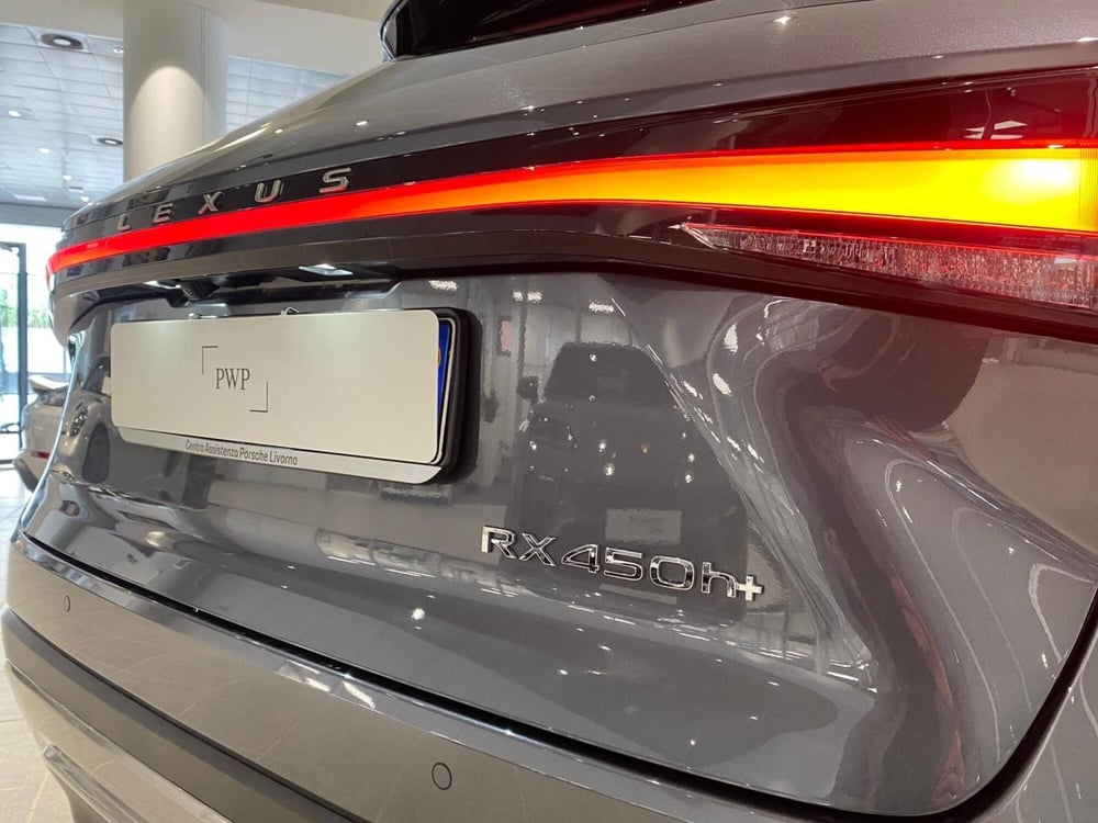 Lexus RX usata a Firenze (16)
