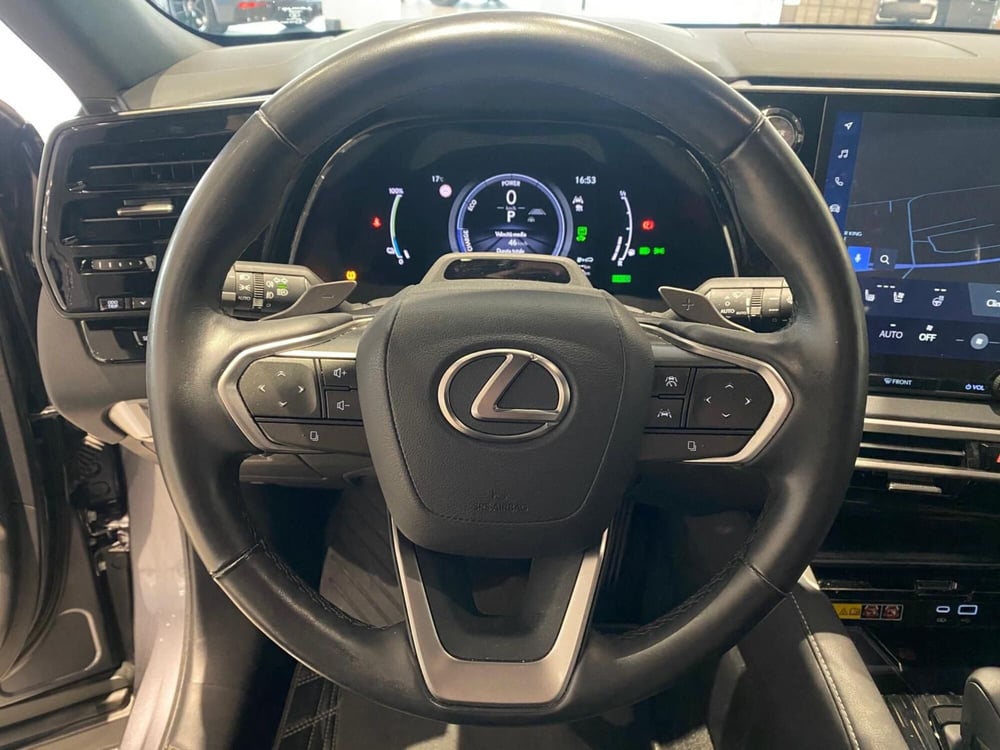 Lexus RX usata a Firenze (19)