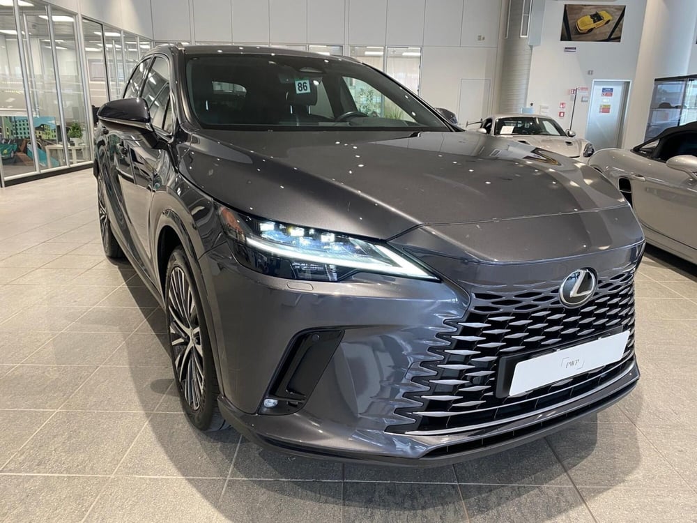 Lexus RX usata a Firenze (5)