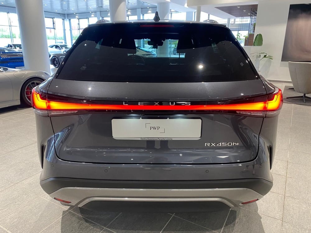 Lexus RX usata a Firenze (6)