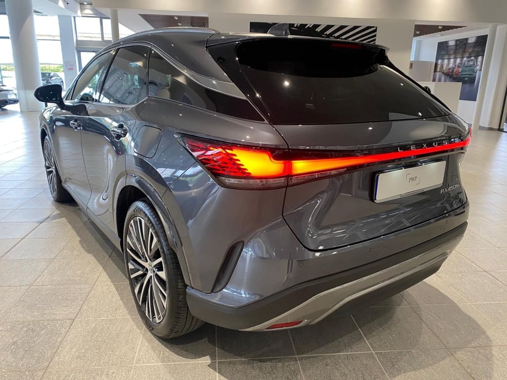 Lexus RX usata a Firenze (7)