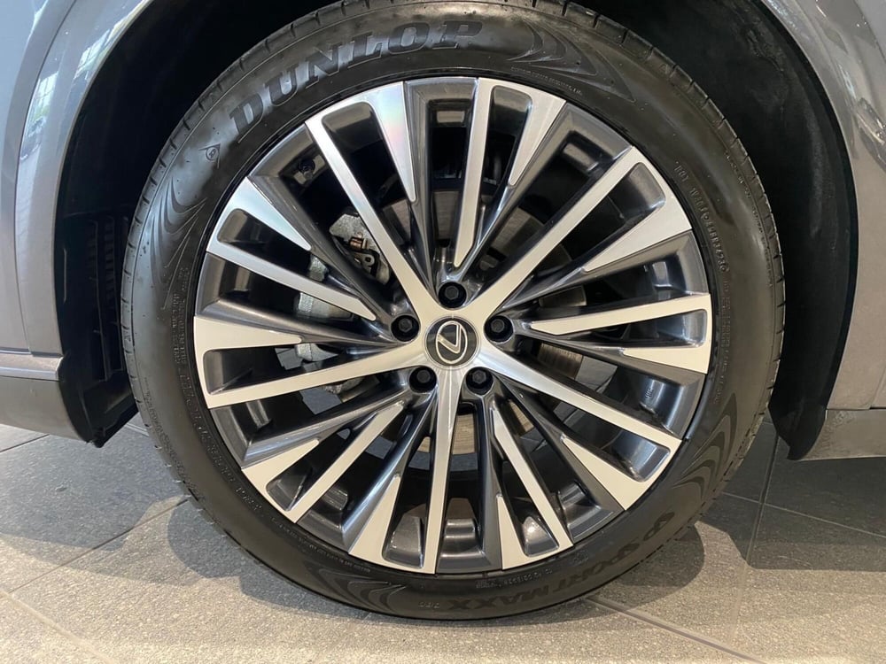 Lexus RX usata a Firenze (8)