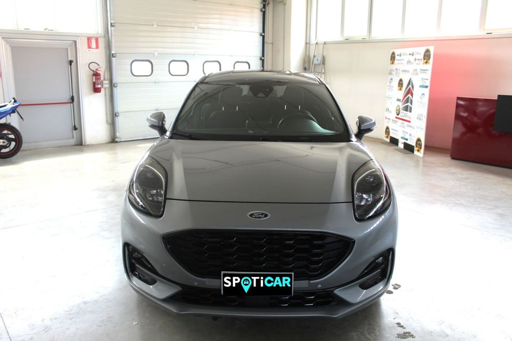 Ford Puma usata a Terni