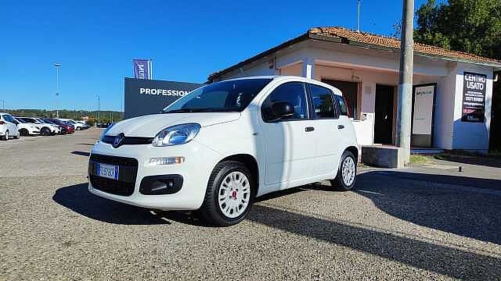 Fiat Panda usata a Firenze