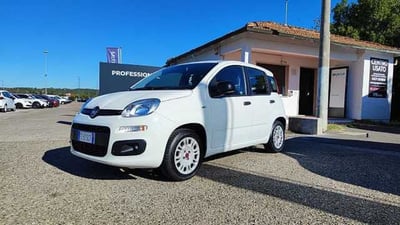 Fiat Panda 1.2 EasyPower Easy del 2019 usata a Empoli