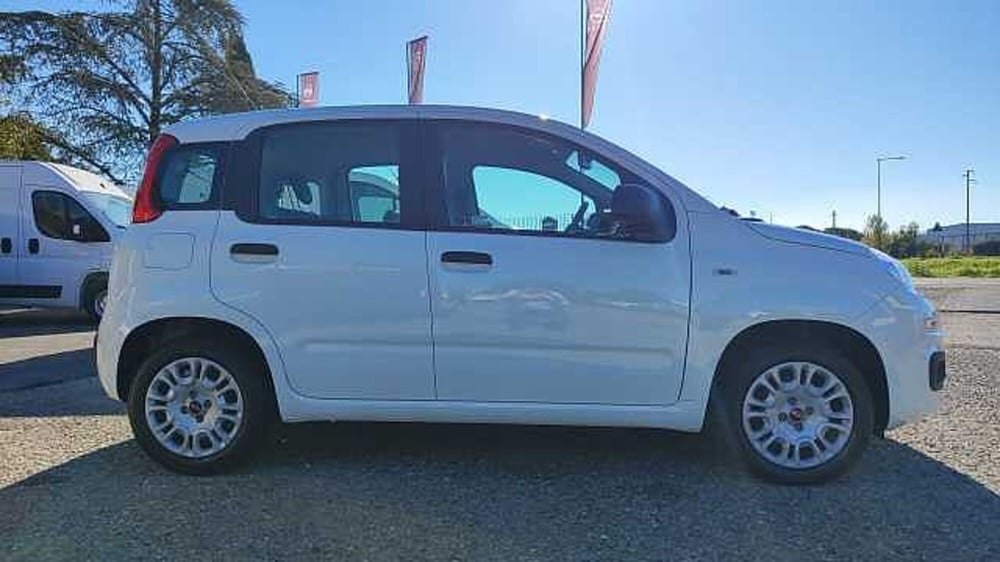 Fiat Panda usata a Firenze (10)