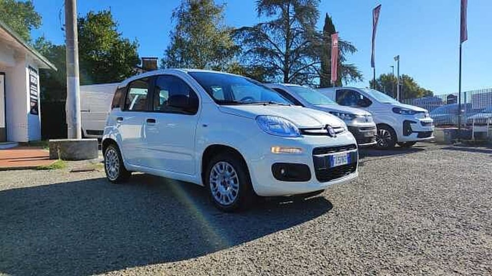 Fiat Panda usata a Firenze (13)