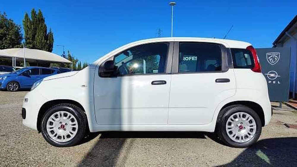 Fiat Panda usata a Firenze (3)