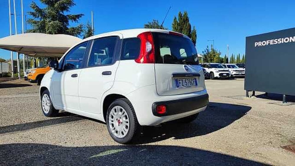 Fiat Panda usata a Firenze (6)