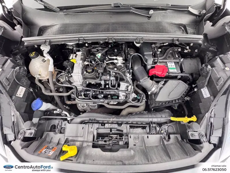 Ford Puma usata a Roma (12)