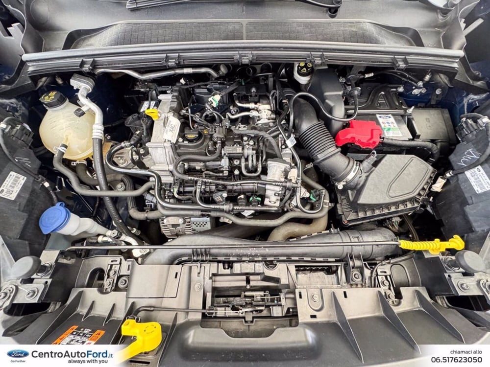 Ford Puma usata a Roma (12)
