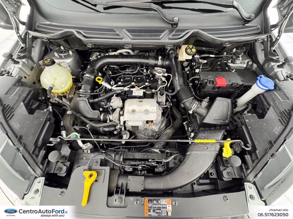 Ford EcoSport usata a Roma (12)