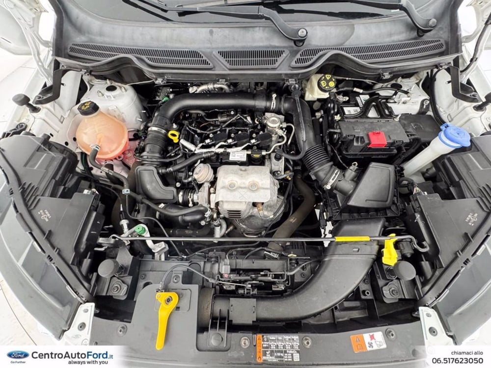 Ford EcoSport usata a Roma (12)