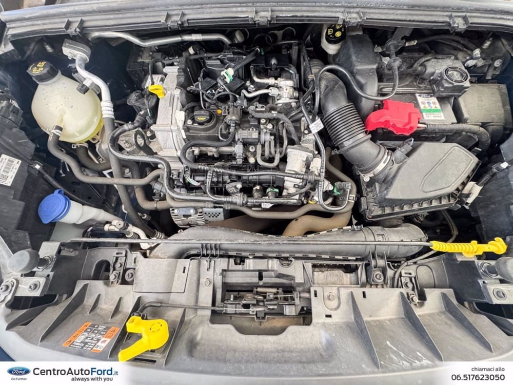 Ford Puma usata a Roma (12)