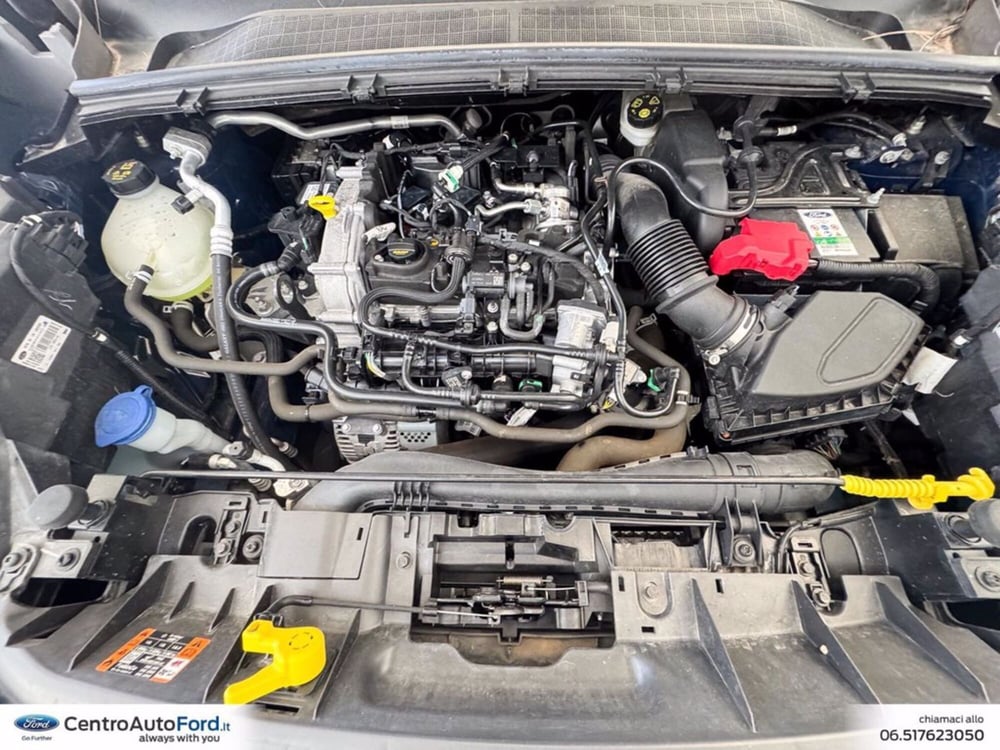 Ford Puma usata a Roma (12)