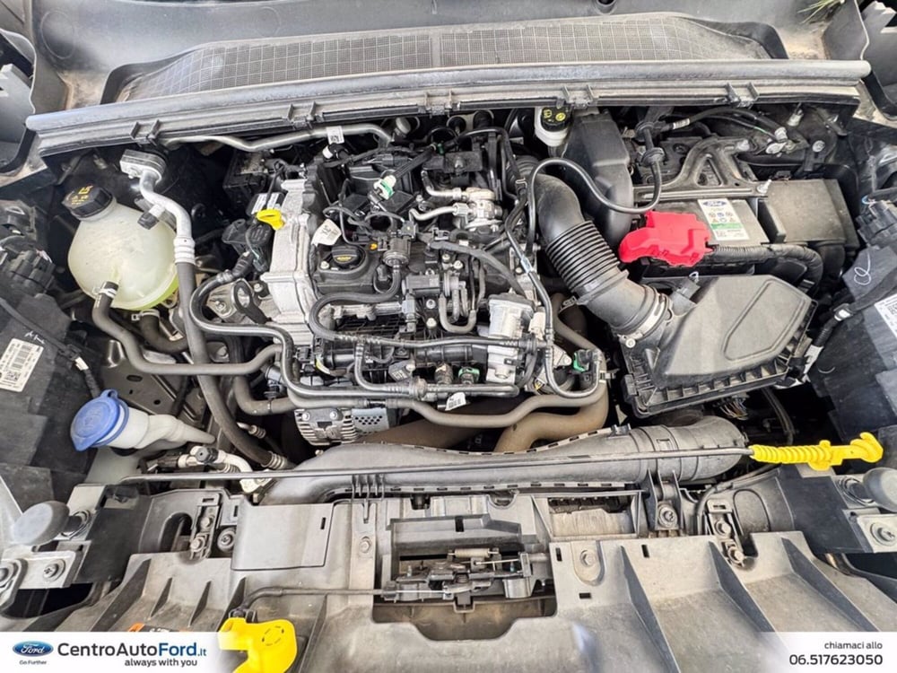 Ford Puma usata a Roma (12)
