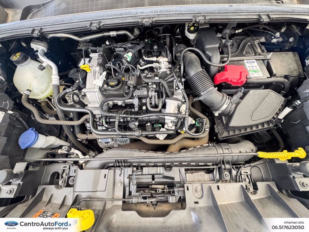 Ford Puma usata a Roma (12)