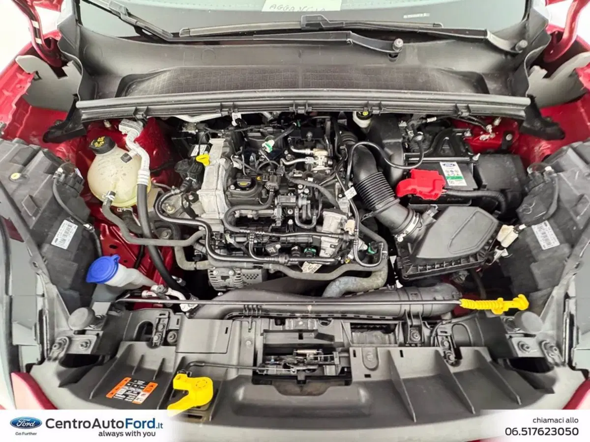 Ford Puma usata a Roma (12)