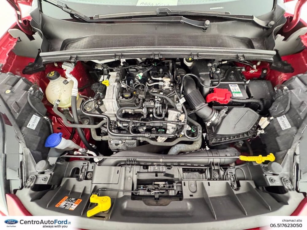 Ford Puma usata a Roma (12)