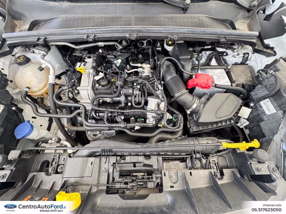 Ford Puma usata a Roma (12)