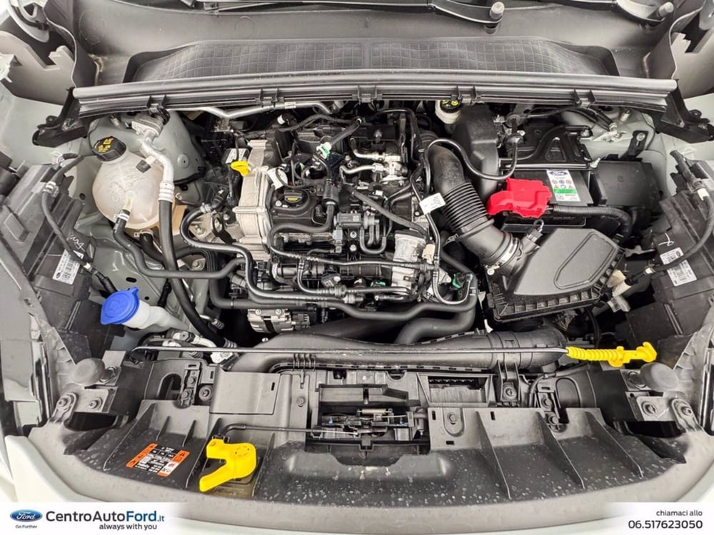 Ford Puma usata a Roma (13)