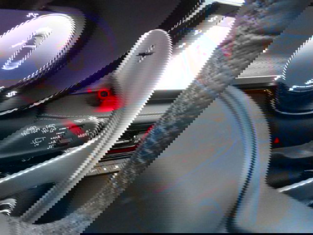 Alfa Romeo Tonale usata a Lodi (14)