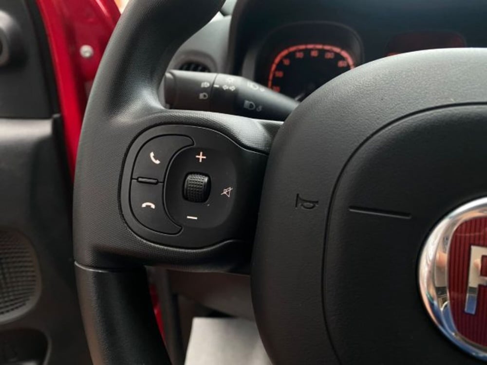 Fiat Panda Cross usata a Cuneo (13)