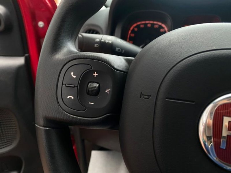Fiat Panda Cross usata a Cuneo (13)