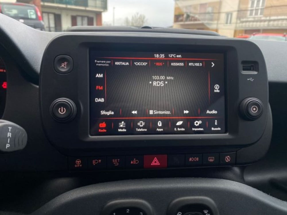 Fiat Panda Cross usata a Cuneo (9)