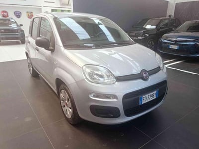 Fiat Panda 1.2 Easy del 2016 usata a Vercelli