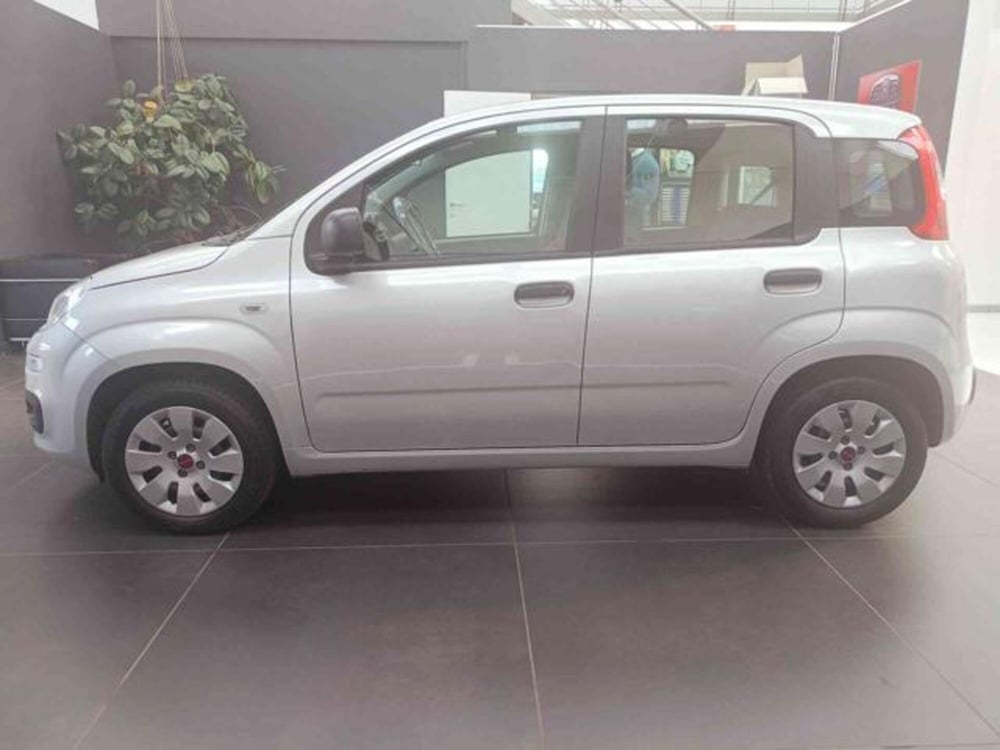 Fiat Panda usata a Vercelli (4)