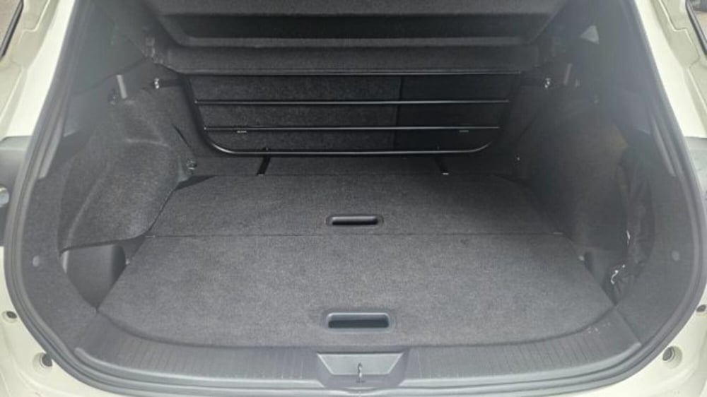 Nissan Qashqai usata a Lucca (18)