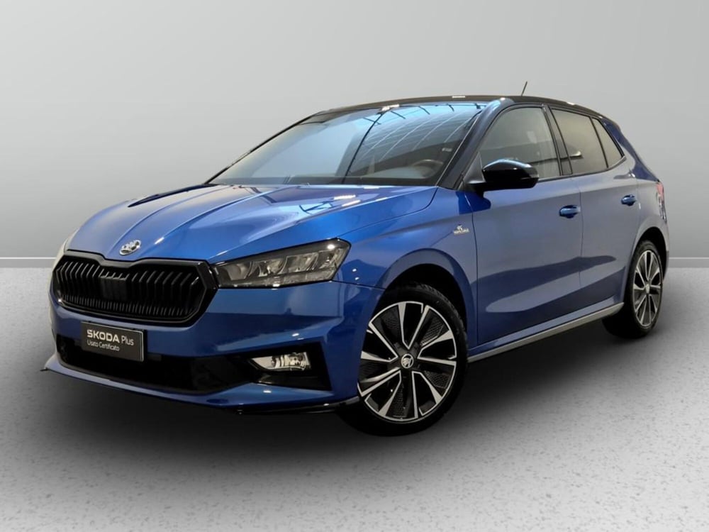 Skoda Fabia usata a Padova