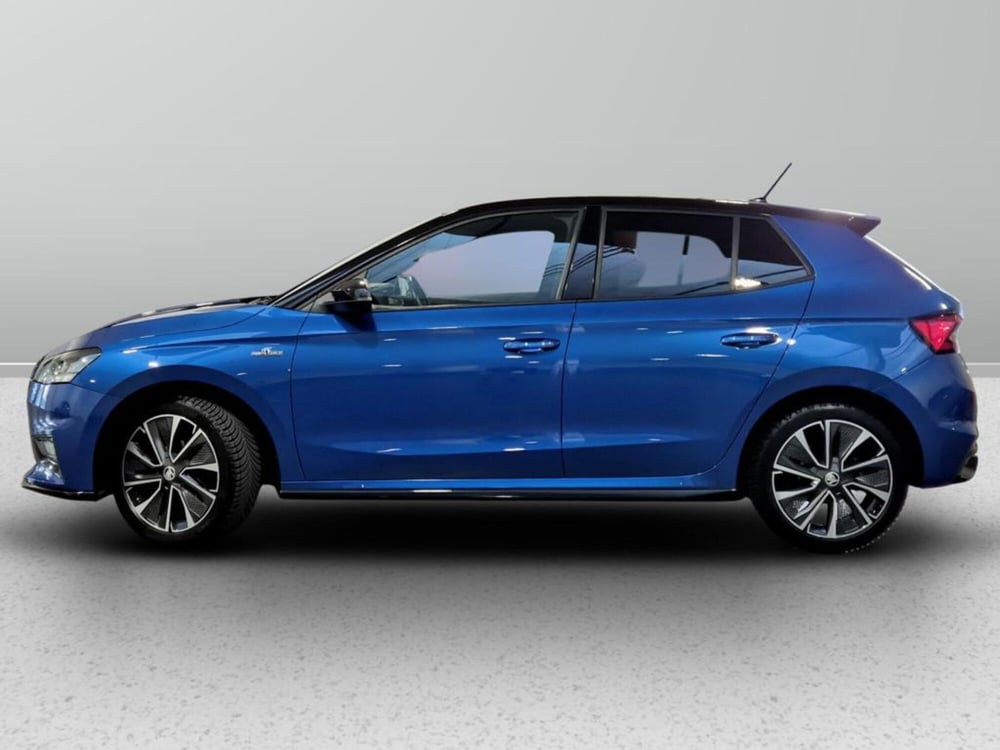 Skoda Fabia usata a Padova (2)
