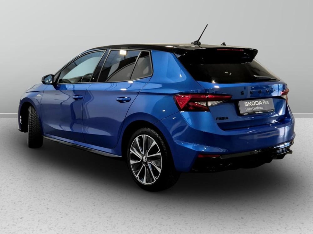Skoda Fabia usata a Padova (3)