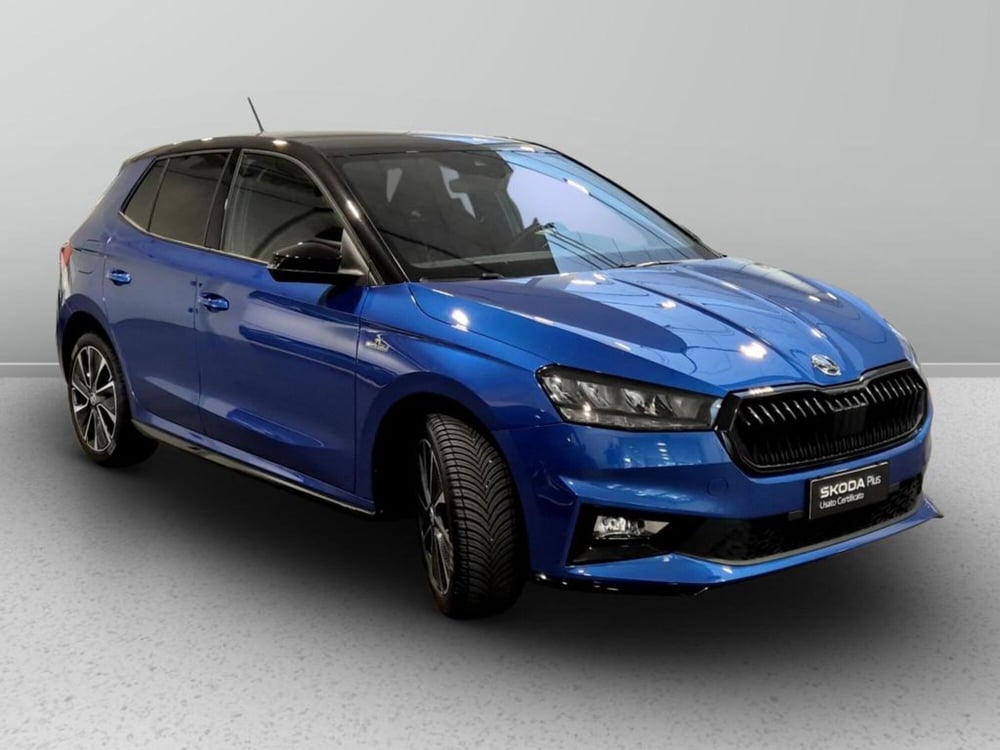 Skoda Fabia usata a Padova (4)