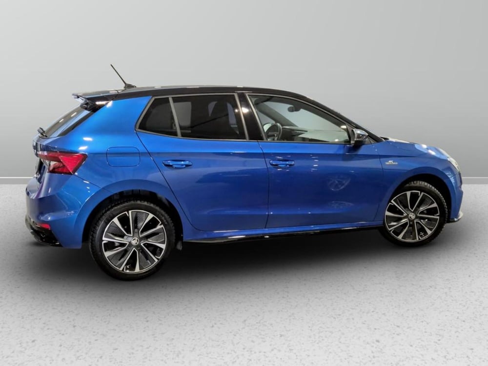 Skoda Fabia usata a Padova (5)
