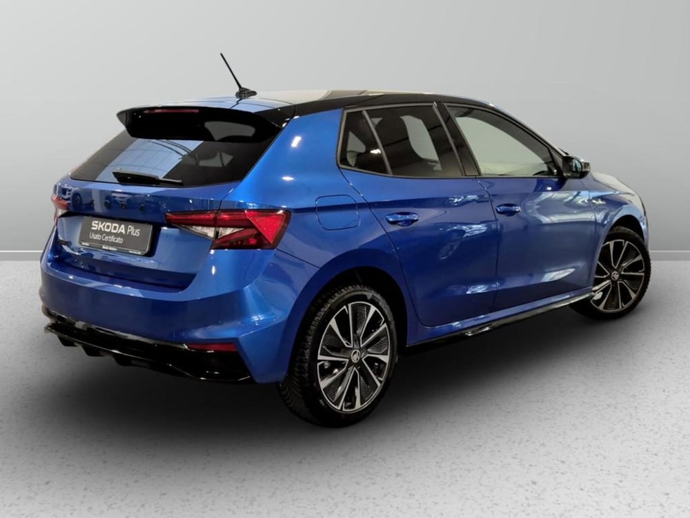 Skoda Fabia usata a Padova (6)
