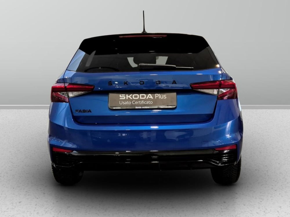 Skoda Fabia usata a Padova (8)