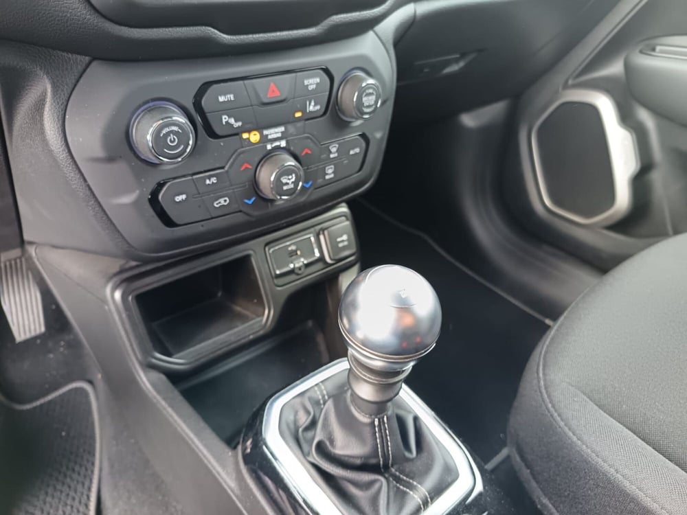 Jeep Renegade usata a Alessandria (20)