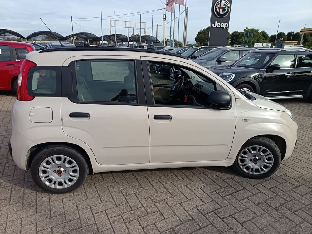 Fiat Panda usata a Alessandria (4)