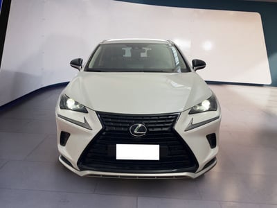 Lexus NX Hybrid 4WD Premium del 2022 usata a Torino