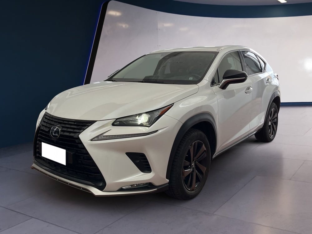 Lexus NX usata a Torino (2)
