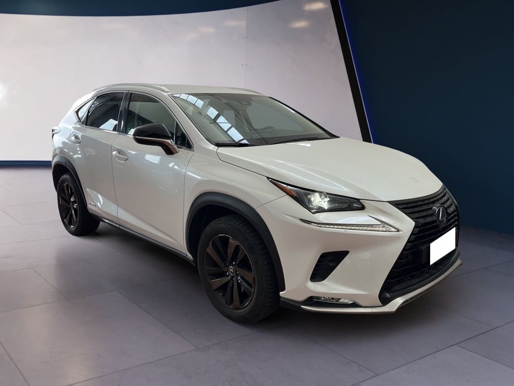Lexus NX usata a Torino (3)