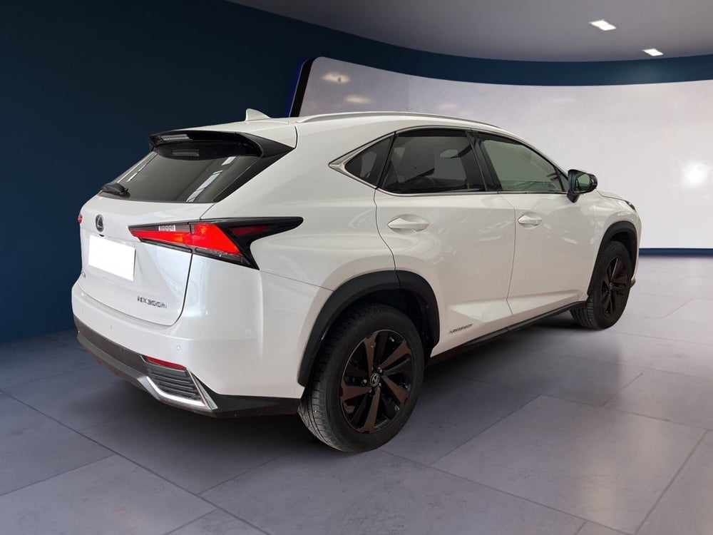 Lexus NX usata a Torino (4)