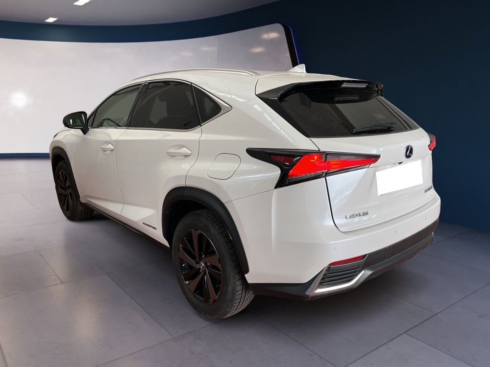 Lexus NX usata a Torino (6)