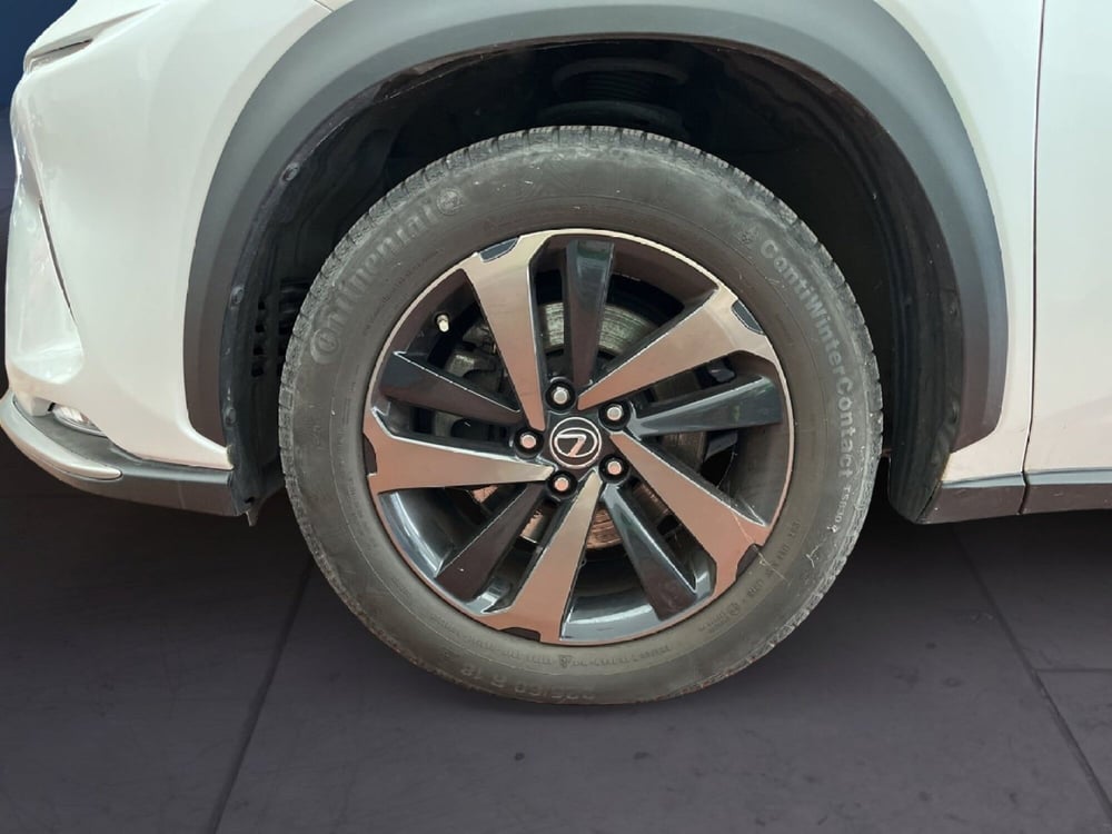 Lexus NX usata a Torino (7)