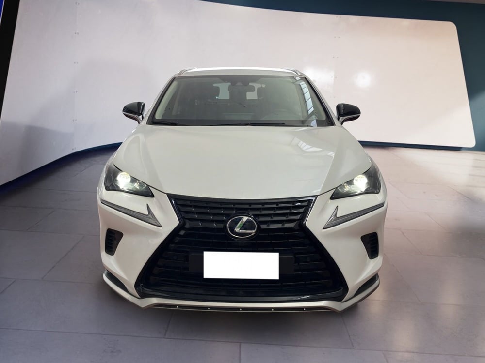 Lexus NX usata a Torino (9)
