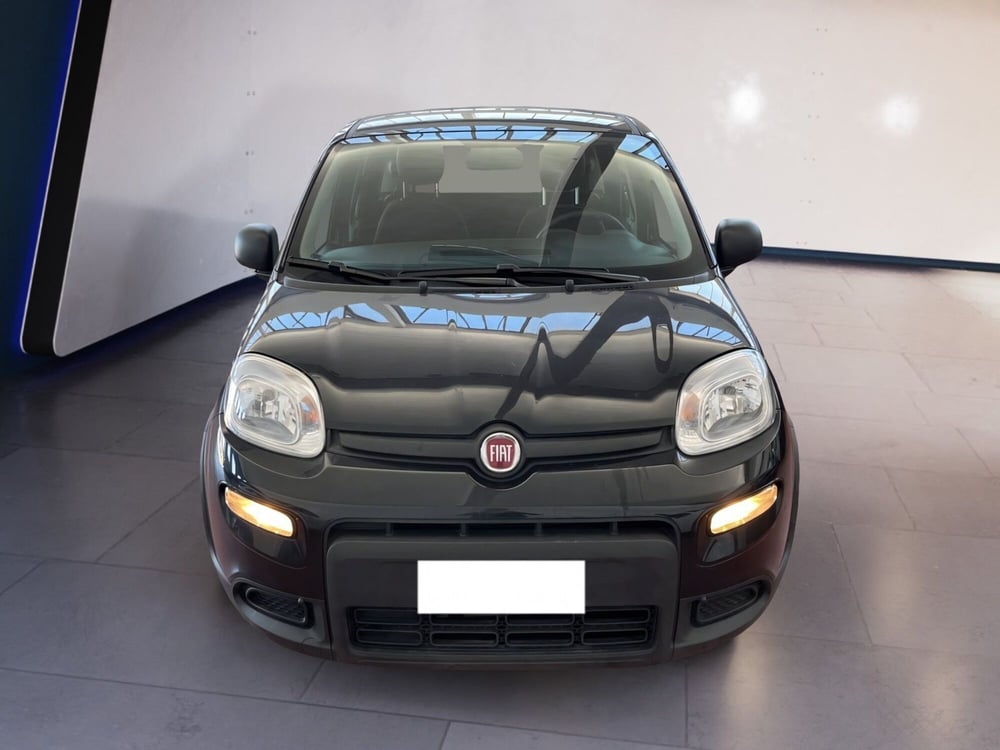 Fiat Panda usata a Torino